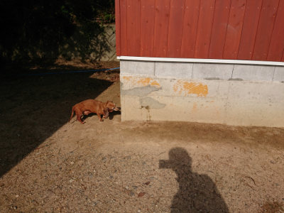 f:id:roukenhome-ann:20190818184502j:plain