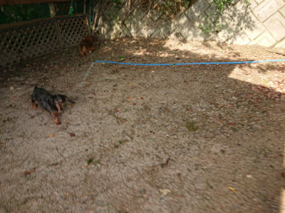 f:id:roukenhome-ann:20190818184522j:plain