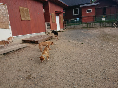 f:id:roukenhome-ann:20190818184536j:plain