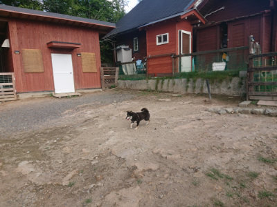 f:id:roukenhome-ann:20190818184636j:plain