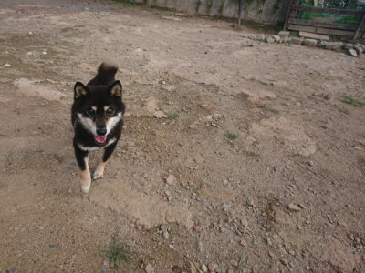 f:id:roukenhome-ann:20190818184648j:plain