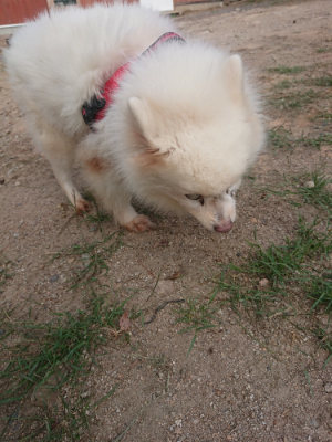f:id:roukenhome-ann:20190818184734j:plain