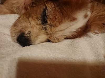 f:id:roukenhome-ann:20190818184839j:plain
