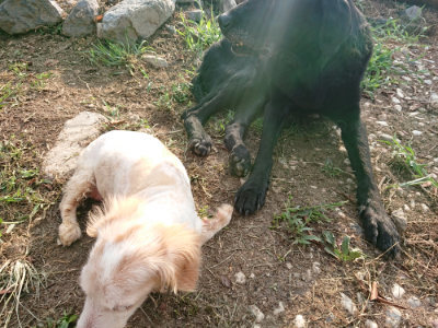 f:id:roukenhome-ann:20190818184855j:plain