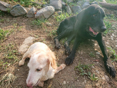 f:id:roukenhome-ann:20190818184952j:plain