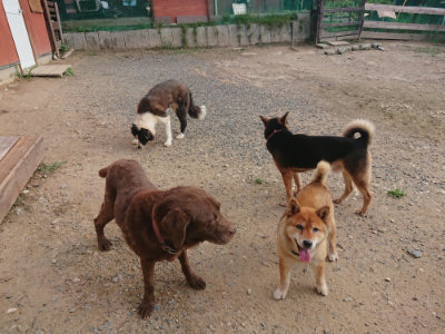 f:id:roukenhome-ann:20190818185014j:plain
