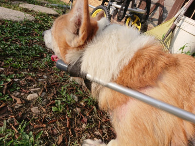f:id:roukenhome-ann:20190818185111j:plain