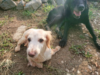 f:id:roukenhome-ann:20190818185210j:plain