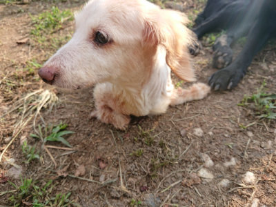 f:id:roukenhome-ann:20190818185230j:plain