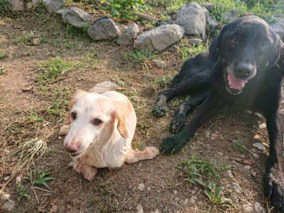 f:id:roukenhome-ann:20190818185236j:plain