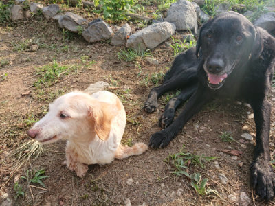 f:id:roukenhome-ann:20190818185243j:plain