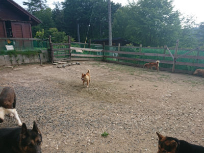 f:id:roukenhome-ann:20190818185255j:plain