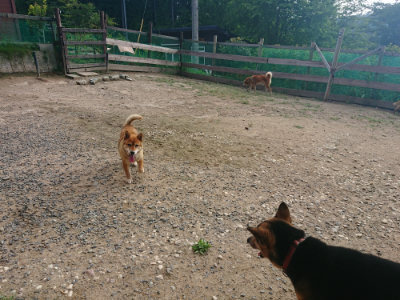 f:id:roukenhome-ann:20190818185307j:plain