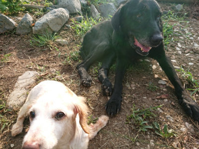 f:id:roukenhome-ann:20190818185313j:plain
