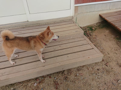 f:id:roukenhome-ann:20190818185440j:plain