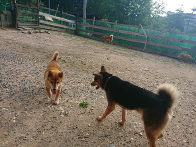 f:id:roukenhome-ann:20190818185509j:plain