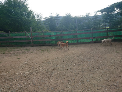 f:id:roukenhome-ann:20190818185521j:plain