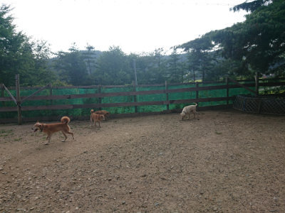f:id:roukenhome-ann:20190818185529j:plain