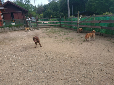 f:id:roukenhome-ann:20190818185545j:plain