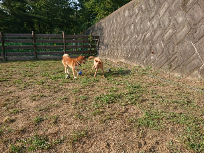 f:id:roukenhome-ann:20190818185604j:plain