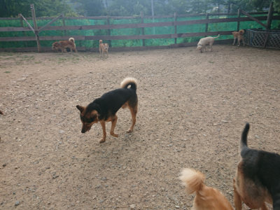 f:id:roukenhome-ann:20190818185645j:plain