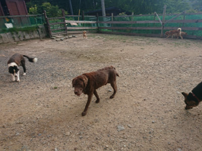 f:id:roukenhome-ann:20190818185653j:plain
