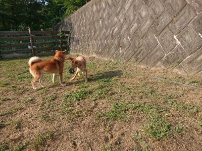 f:id:roukenhome-ann:20190818185747j:plain