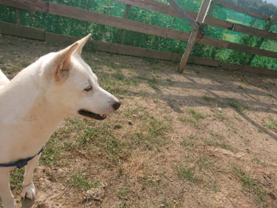 f:id:roukenhome-ann:20190818185839j:plain