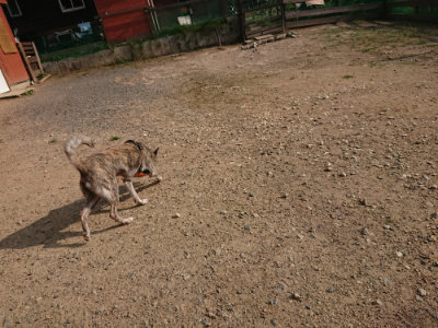 f:id:roukenhome-ann:20190818185943j:plain