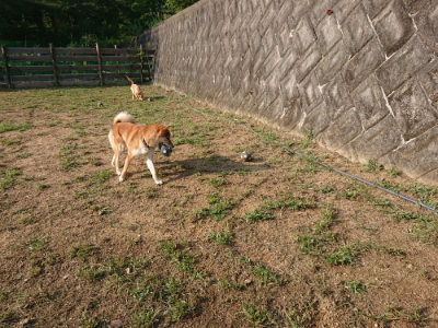 f:id:roukenhome-ann:20190818190045j:plain