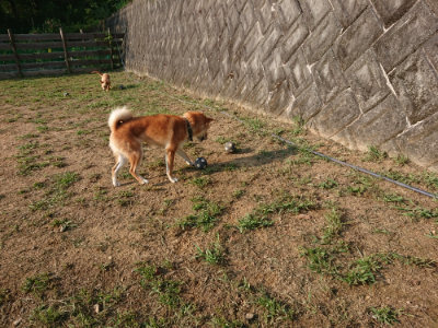 f:id:roukenhome-ann:20190818190053j:plain