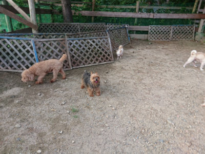 f:id:roukenhome-ann:20190818190059j:plain