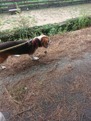 f:id:roukenhome-ann:20190818190153j:plain