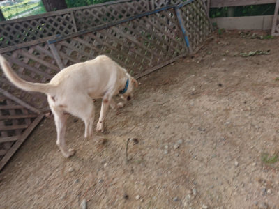 f:id:roukenhome-ann:20190818190258j:plain