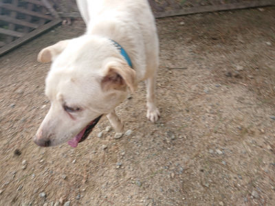 f:id:roukenhome-ann:20190818190325j:plain