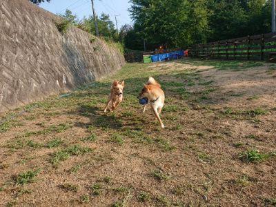 f:id:roukenhome-ann:20190818190429j:plain