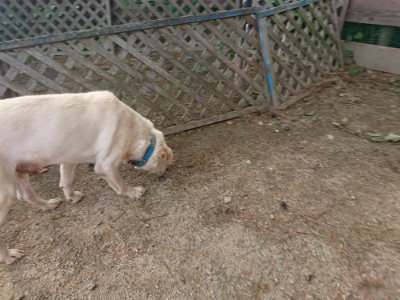 f:id:roukenhome-ann:20190818190438j:plain