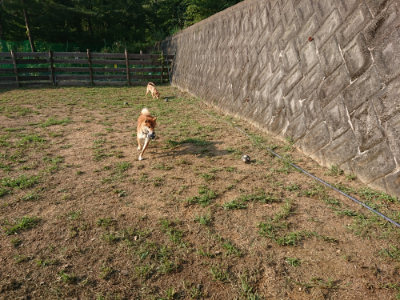 f:id:roukenhome-ann:20190818190539j:plain