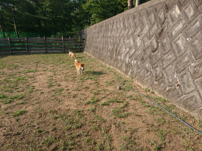 f:id:roukenhome-ann:20190818190623j:plain