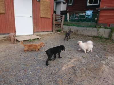 f:id:roukenhome-ann:20190818190902j:plain