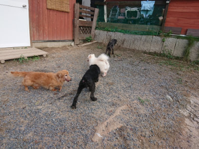f:id:roukenhome-ann:20190818190913j:plain