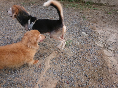 f:id:roukenhome-ann:20190818190957j:plain