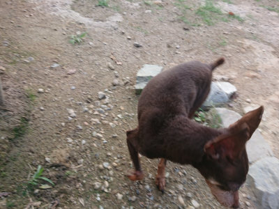 f:id:roukenhome-ann:20190818191018j:plain