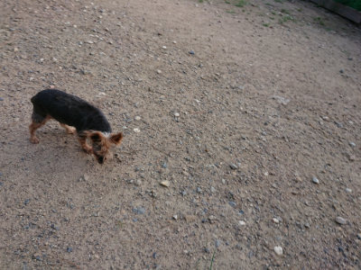 f:id:roukenhome-ann:20190818191032j:plain