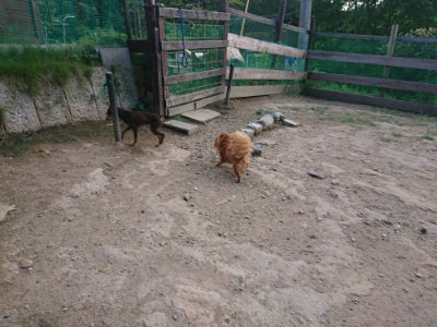 f:id:roukenhome-ann:20190818191046j:plain