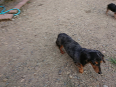f:id:roukenhome-ann:20190818191102j:plain