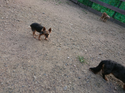 f:id:roukenhome-ann:20190818191109j:plain