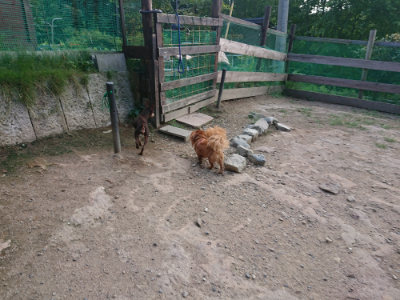 f:id:roukenhome-ann:20190818191120j:plain