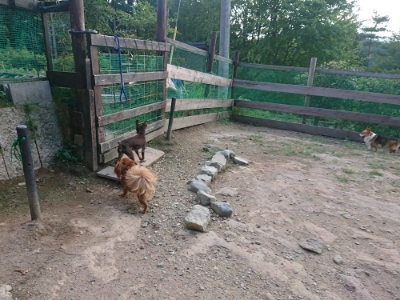 f:id:roukenhome-ann:20190818191127j:plain