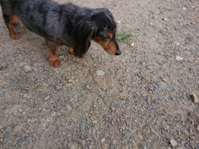 f:id:roukenhome-ann:20190818191138j:plain